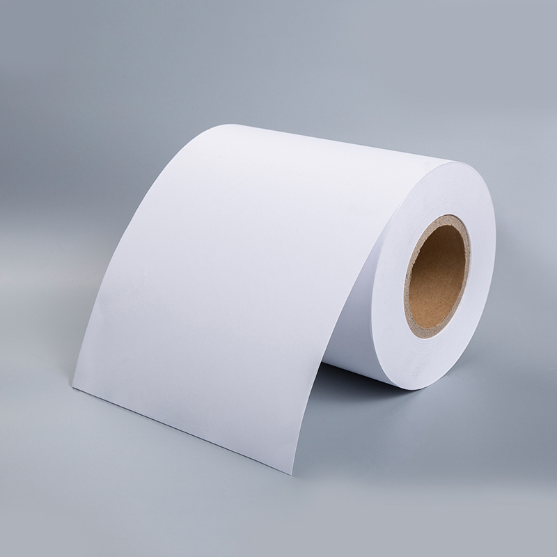 Woodfree Paper with White Release Liner