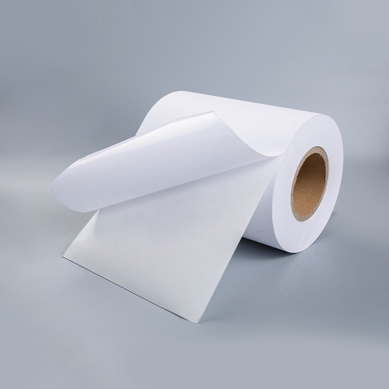 Woodfree Paper with White Release Liner