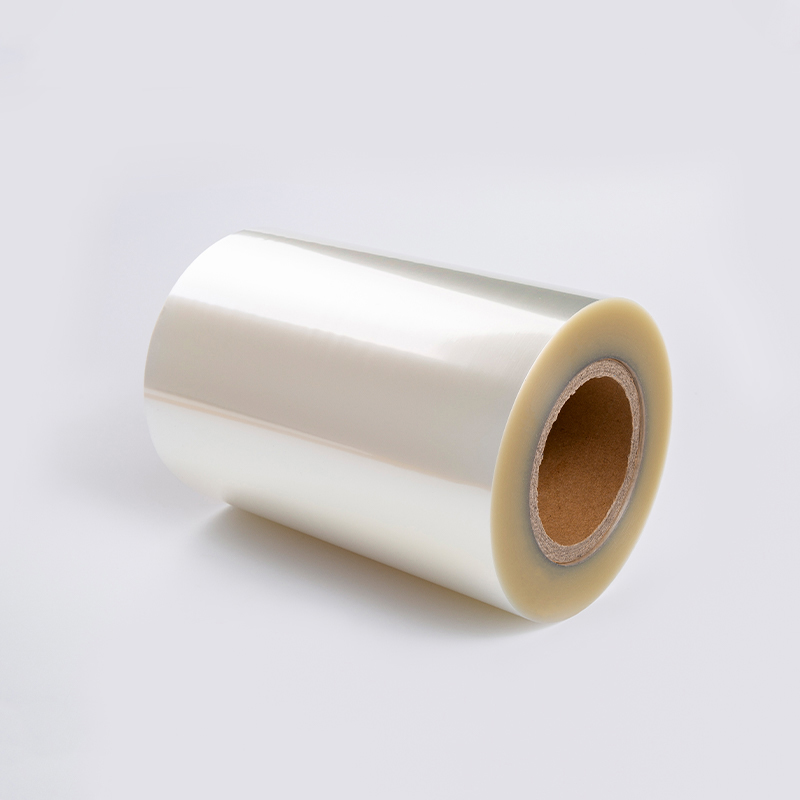 Perspicuus PVC Cum Serena PET Liner