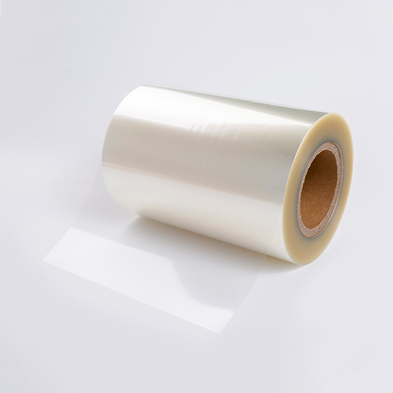 Perspicuus PVC Cum Serena PET Liner