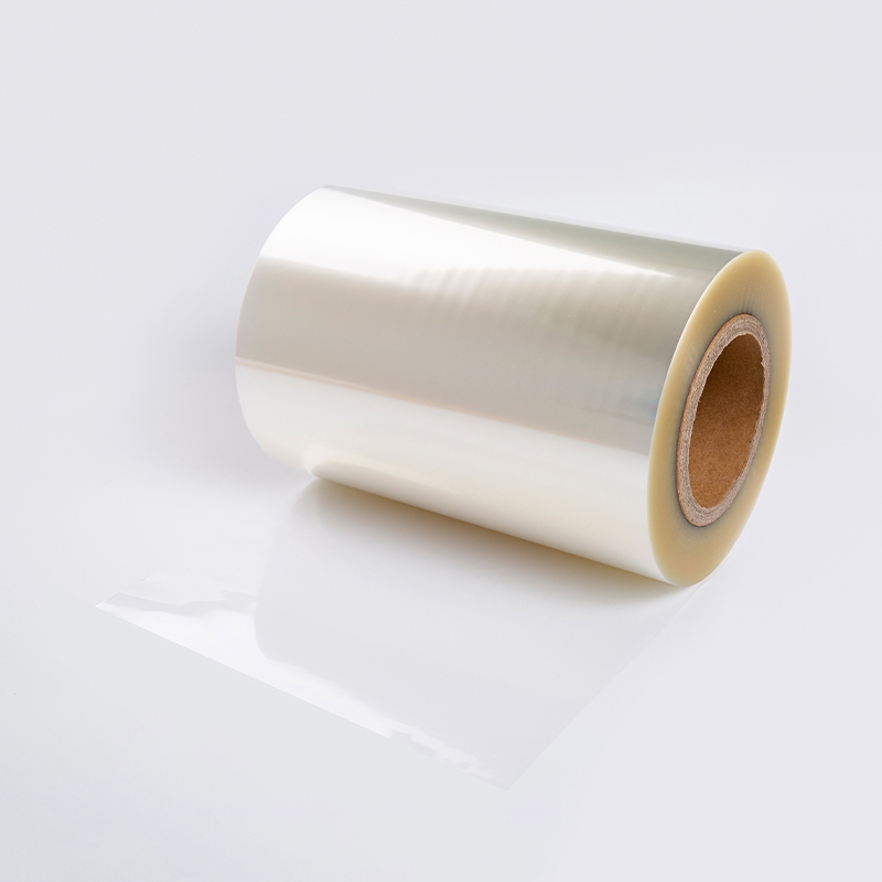 Perspicuus PVC Cum Serena PET Liner